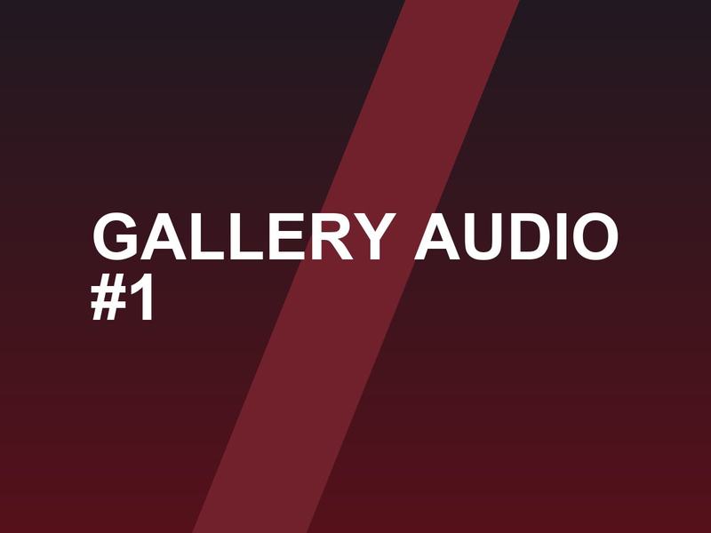Gallery Audio photo 1