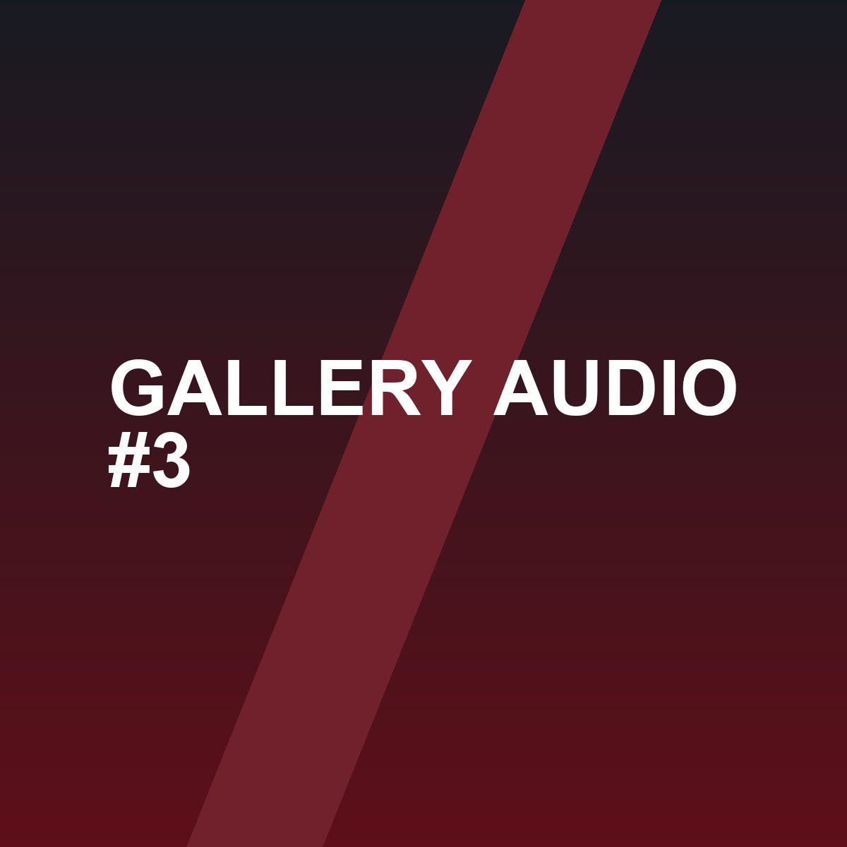 Gallery Audio photo 3