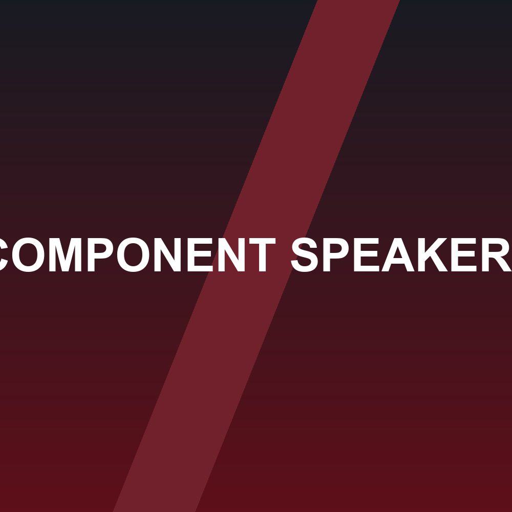 SQ Component Speaker Set